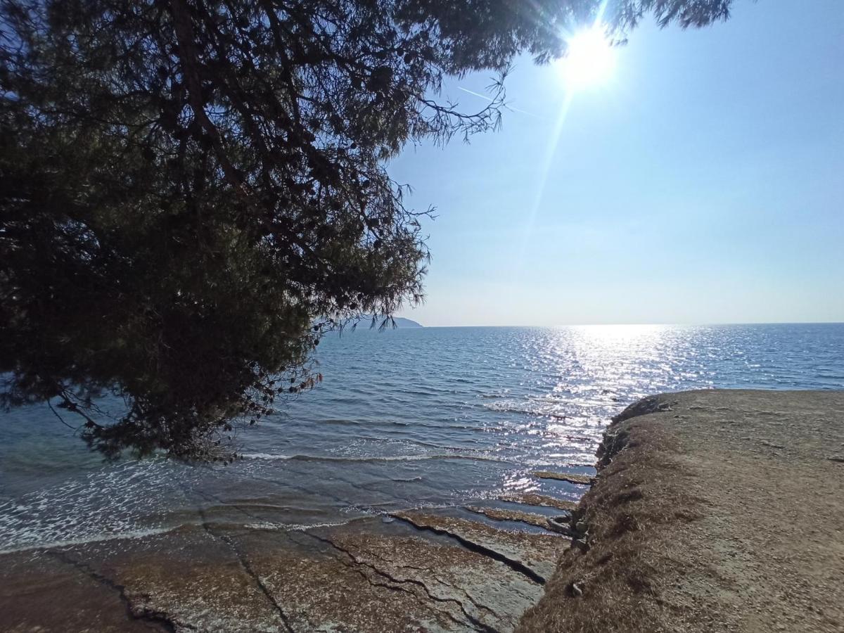 Ete Indien - Plage - Wifi - Host Provence Apartment La Ciotat Exterior photo